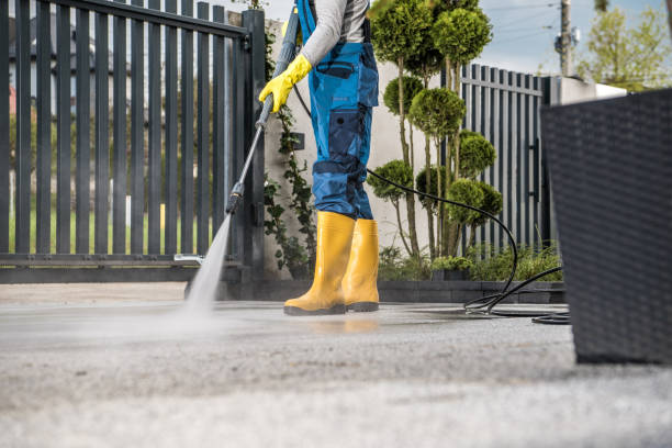 Best Rust Removal  in Meadow Woods, FL