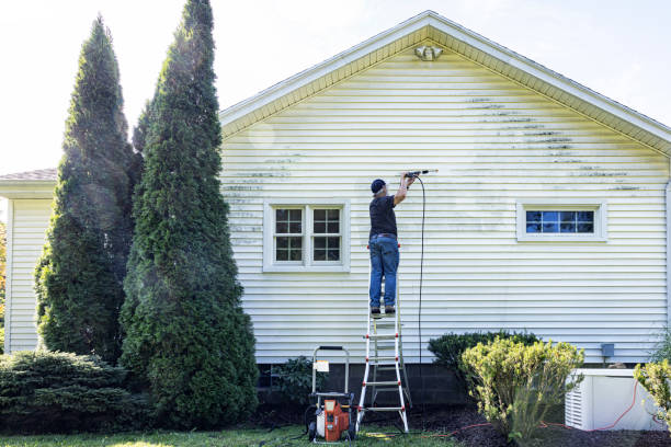 Best Sidewalk and Walkway Cleaning  in Meadow Woods, FL